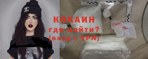 дмт Костерёво