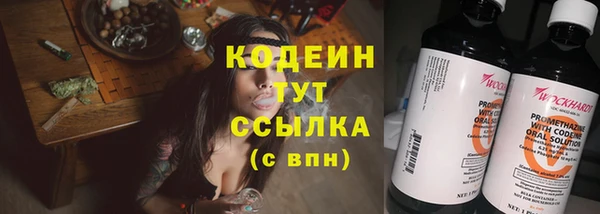дмт Костерёво