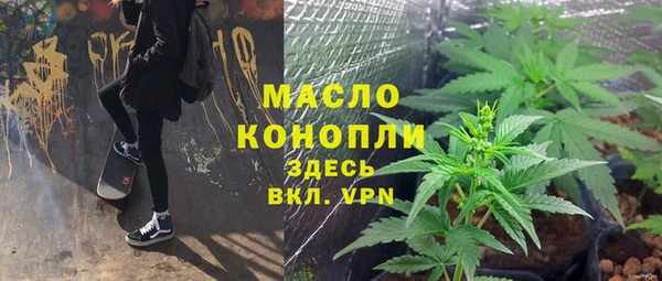 дмт Костерёво