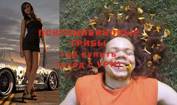 spice Краснослободск