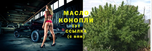 амф Коряжма