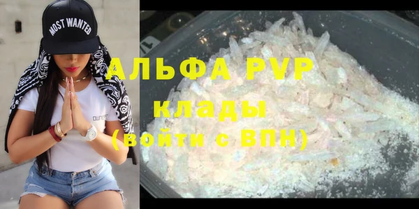 амф Коряжма