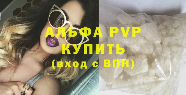 амф Коряжма