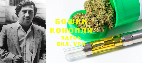 дмт Костерёво